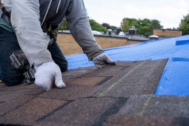 Best Asphalt Shingle Roofing  in Flat Rock, MI