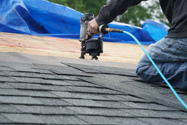 Best Flat Roofing  in Flat Rock, MI